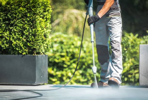 Boat and Dock Cleaning in Winter Haven, FL